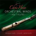 Chris Hein - Winds Vol.1 Flutes