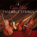 Chris Hein - Ensemble Strings Crossgrade from CH-Solo Strings USA and rest of the world
